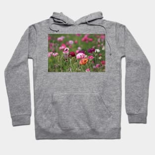 Jelly Bean Colored Ranunculus Hoodie